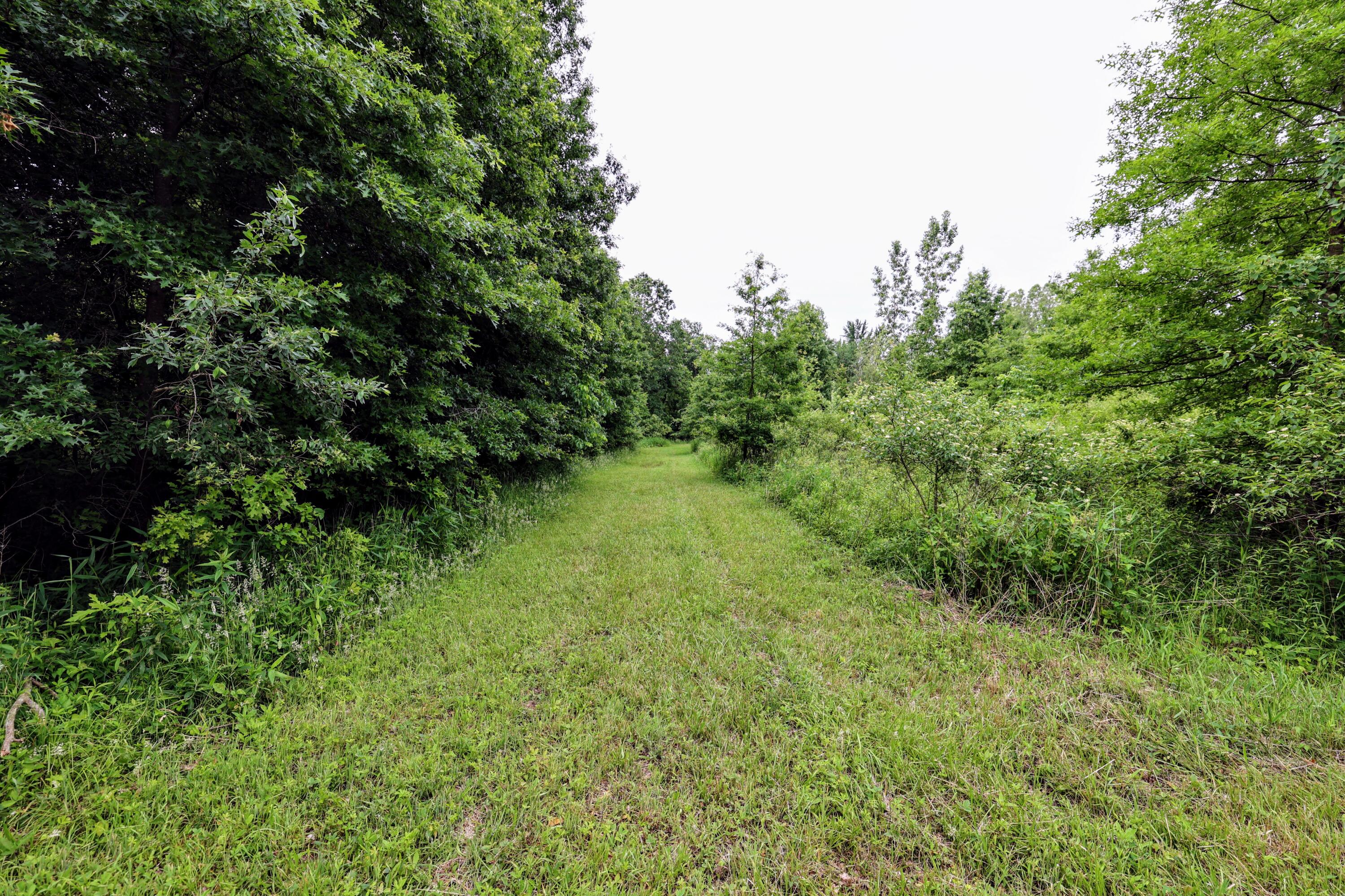 27015 50th Street Bangor, MI 49013 - Photo 3 of 41 3