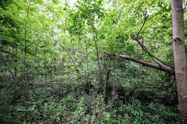 $299,000 | 27015 50th Street, Bangor, MI 49013