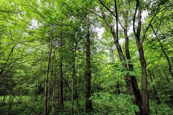 $299,000 | 27015 50th Street, Bangor, MI 49013