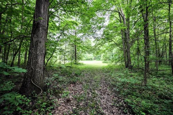 $299,000 | 27015 50th Street, Bangor, MI 49013