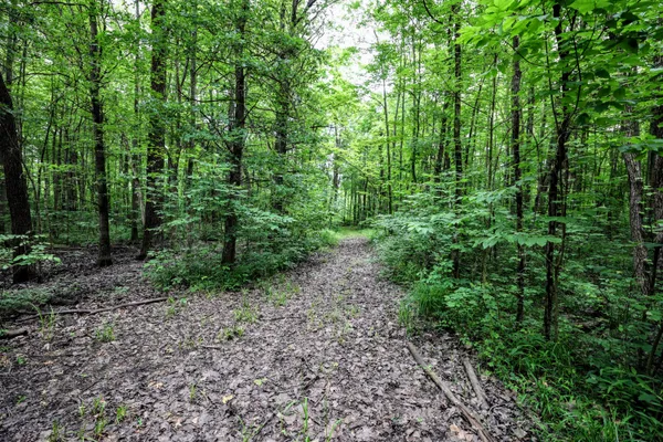 $299,000 | 27015 50th Street, Bangor, MI 49013