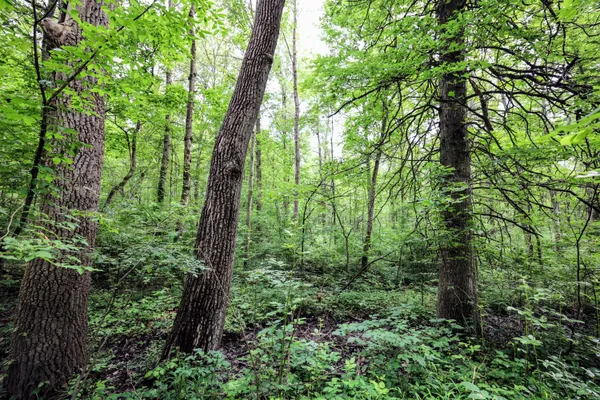 $299,000 | 27015 50th Street, Bangor, MI 49013