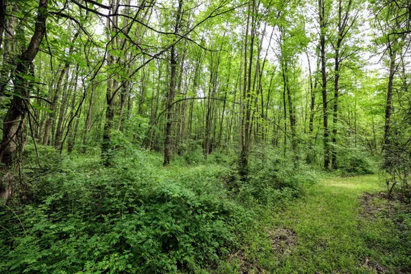 $299,000 | 27015 50th Street, Bangor, MI 49013