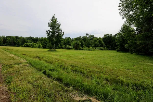 $299,000 | 27015 50th Street, Bangor, MI 49013