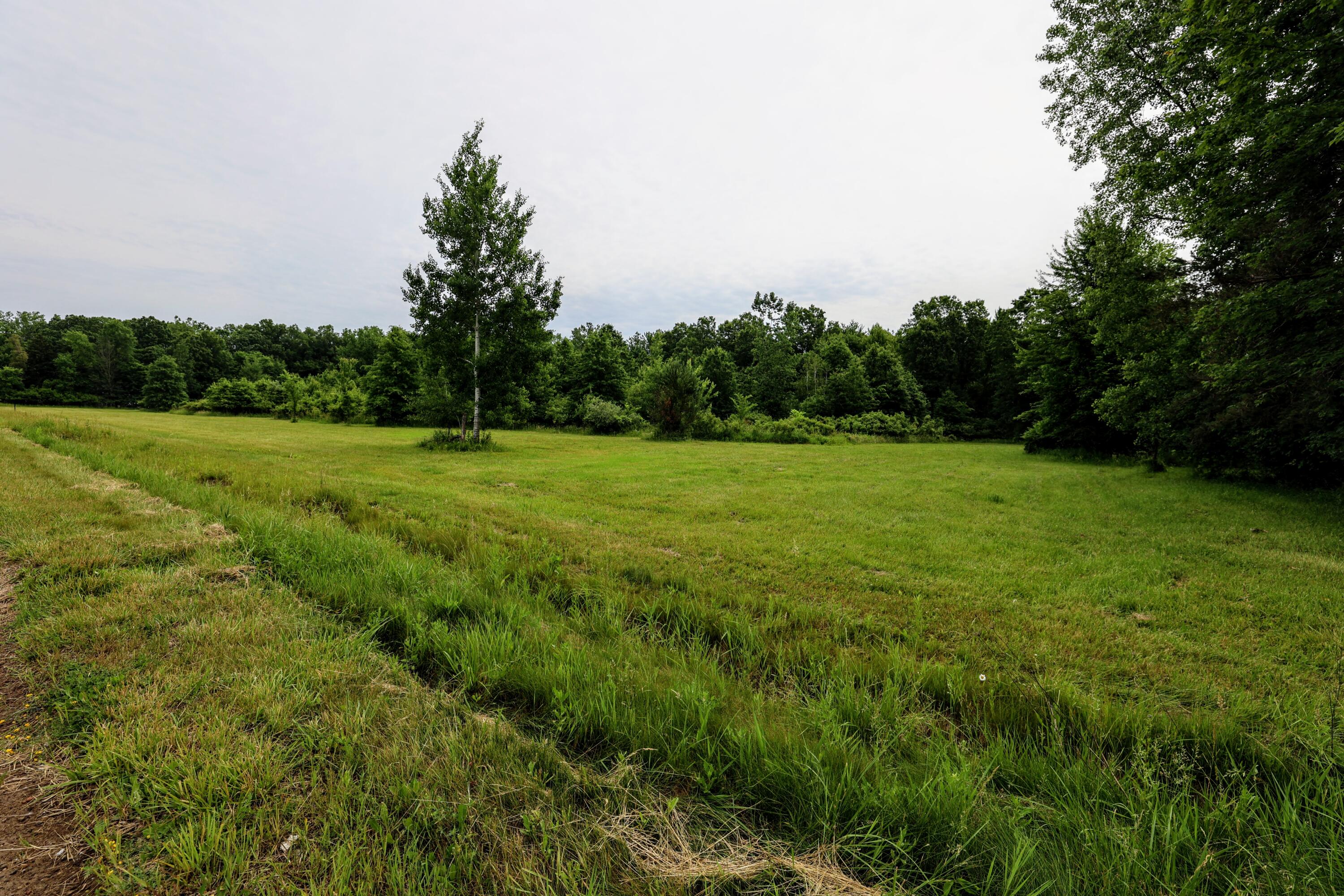 27015 50th Street Bangor, MI 49013 - Photo 40 of 41 40