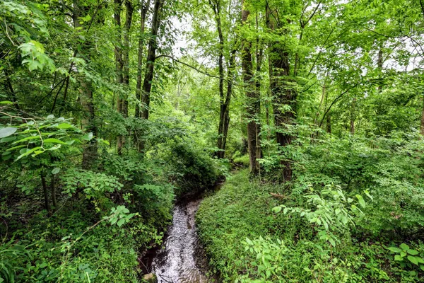 $299,000 | 27015 50th Street, Bangor, MI 49013