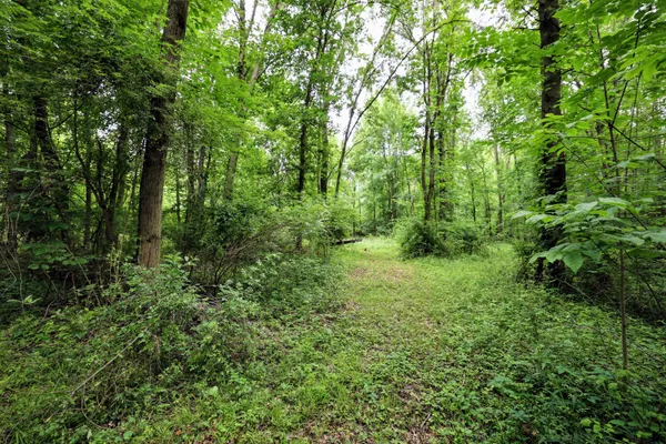 $299,000 | 27015 50th Street, Bangor, MI 49013