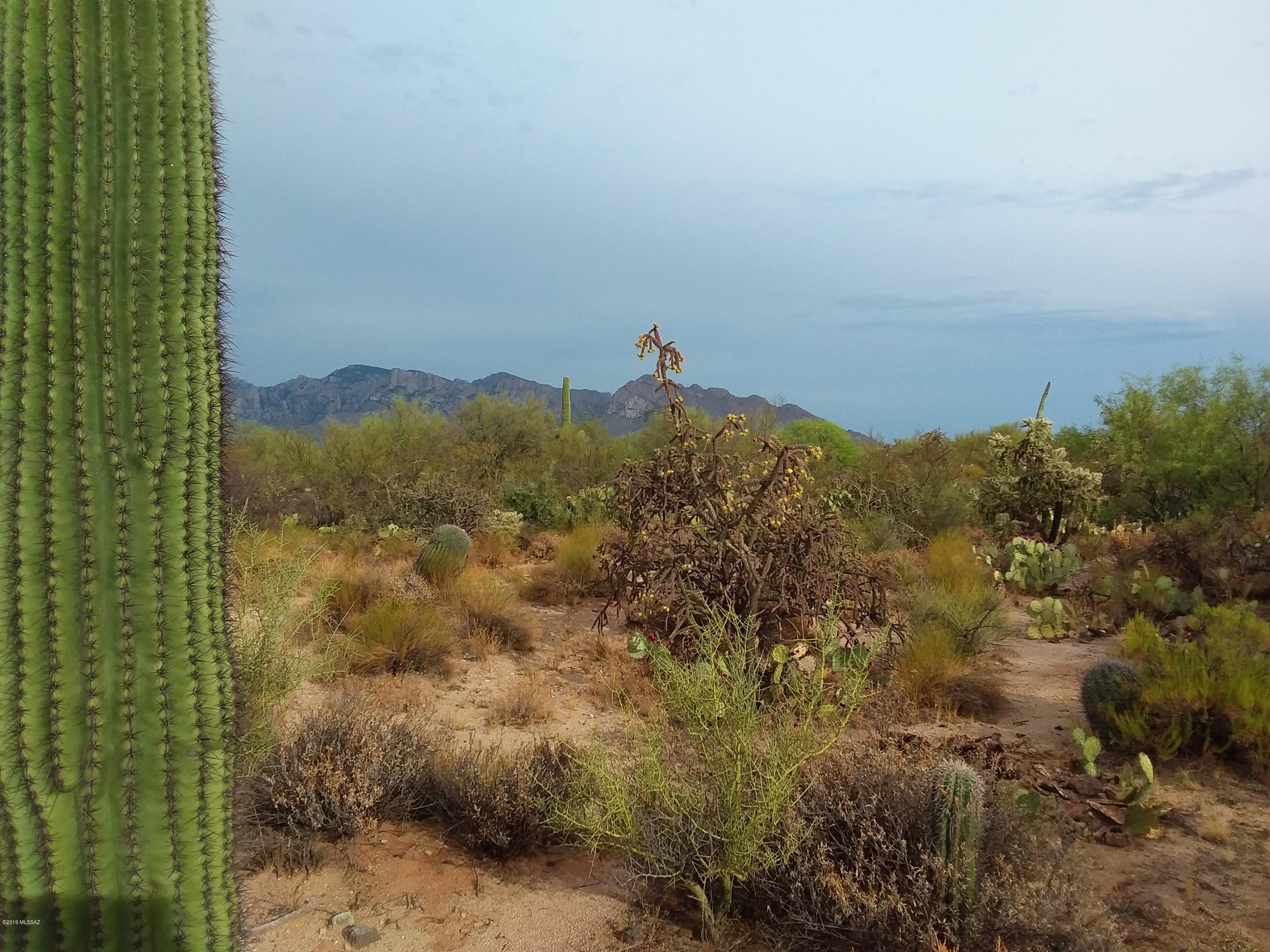 2315 West Tangerine Road Tucson, AZ 85742 - Photo 16 of 27