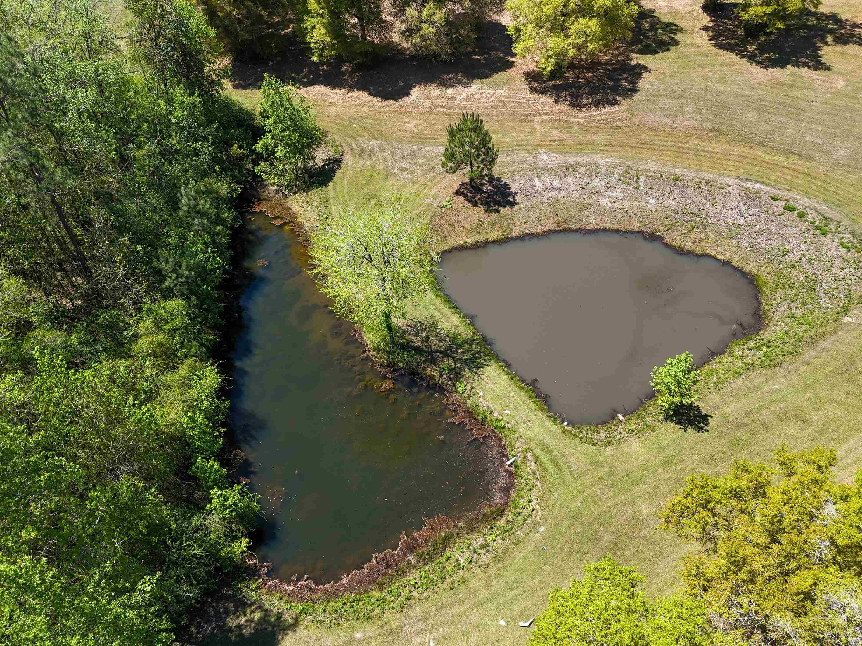 2412 Union Road Florala, AL 36442 - Photo 43 of 48 Gallery Image 43