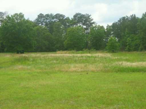 31703 Pete Bankston Road Holden, LA 70744 - Photo 3 of 5 Gallery Image 3