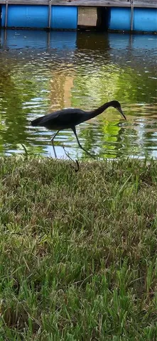 a view of a water view