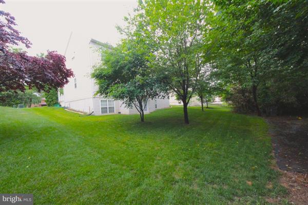 6308 Buffalo Ridge Road Falls Church, VA 22044 - Photo 4 of 27 Exterior (Rear)