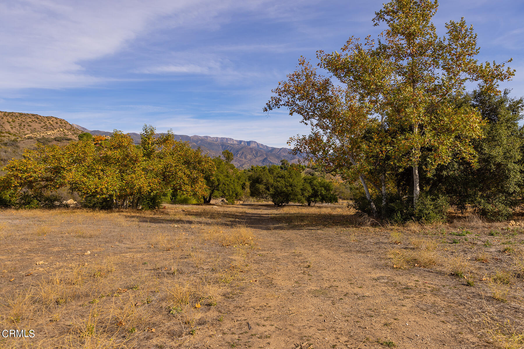 1218 Foothill Road Ojai, CA 93023 - Photo 15 of 30 a view of a yard with a tree