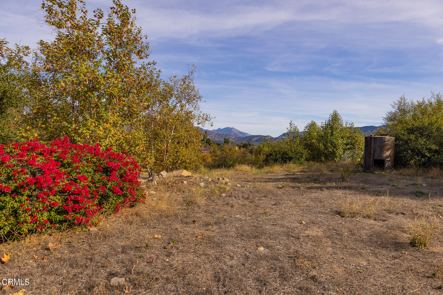 1218 Foothill Road Ojai, CA 93023 - Photo 23 of 30 a view of a yard