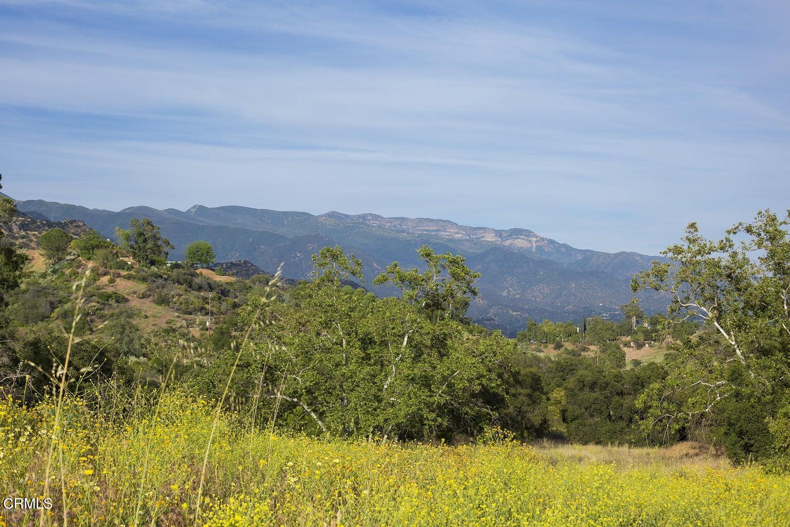 1218 Foothill Road Ojai, CA 93023 - Photo 6 of 30 a view of a lake with mountains in the background