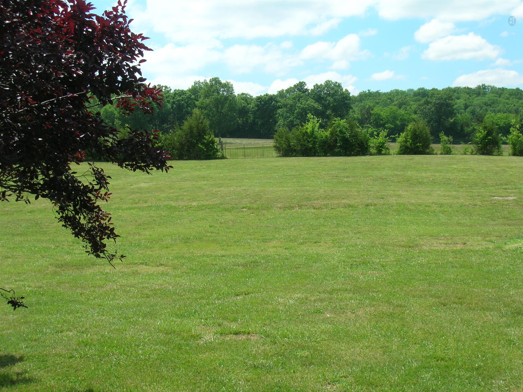 9128 Arnold Road Christiana, TN 37037 - Photo 22 of 23 Gallery Image 22
