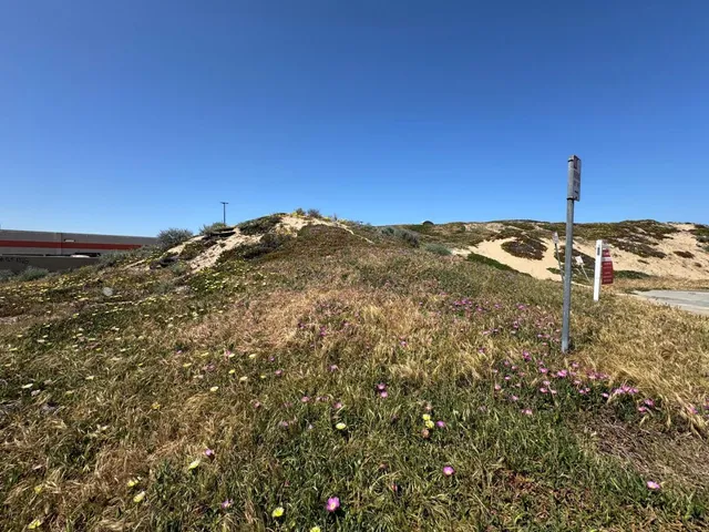 a view of a field with an ocean