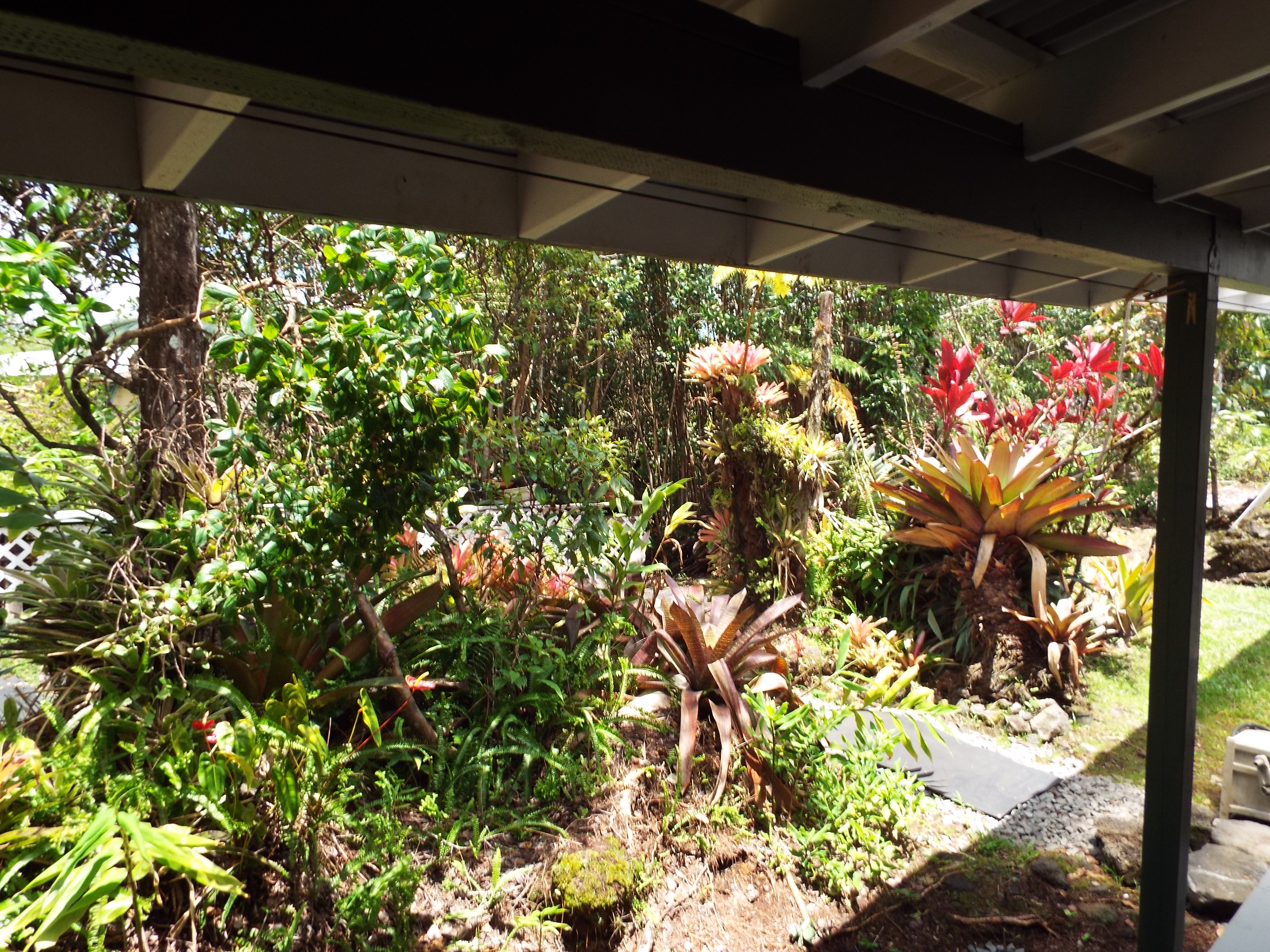 16-1242 Opeapea Road Mountain View, HI 96771 - Photo 16 of 28 Gallery Image 16