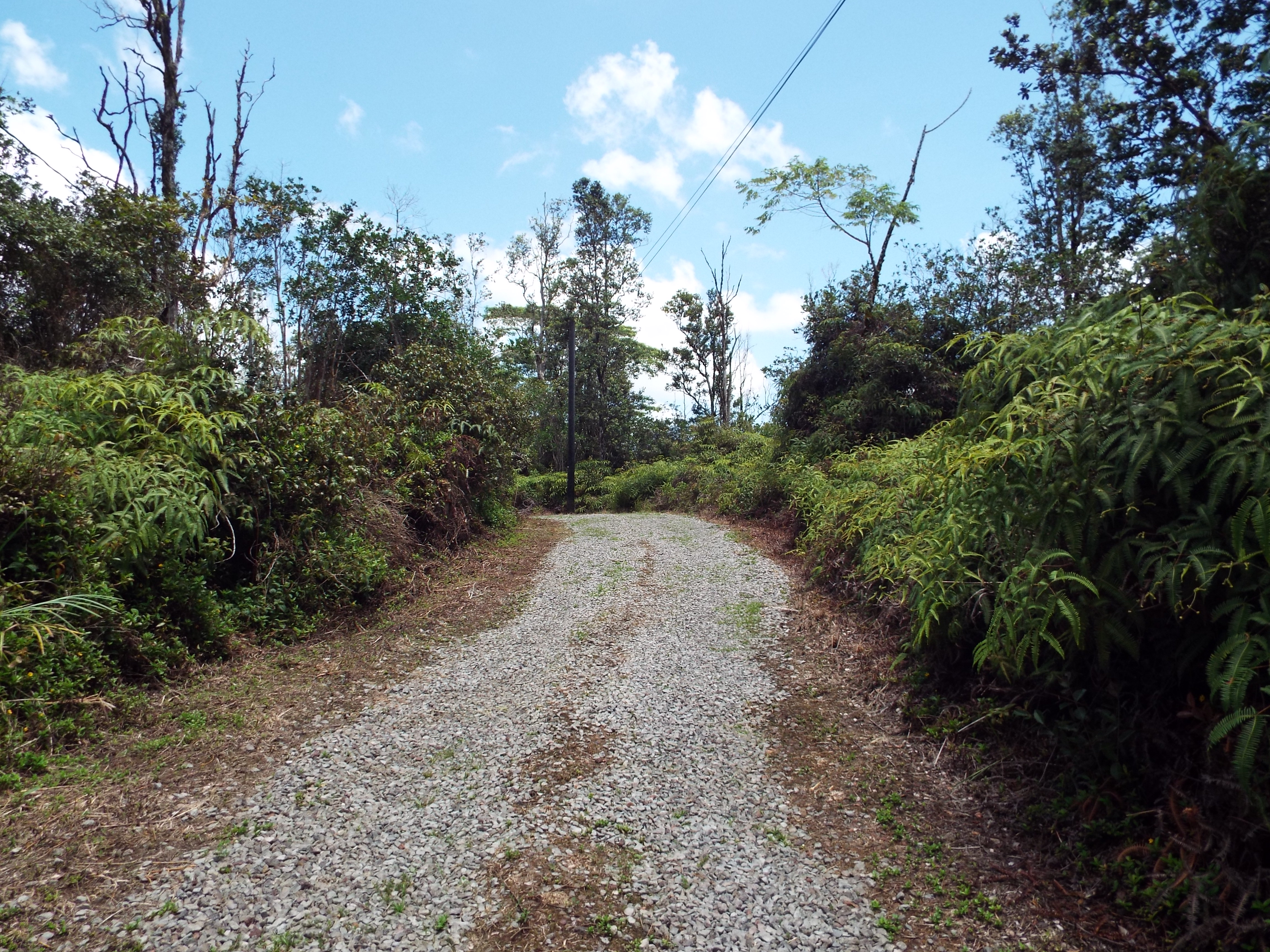 16-1242 Opeapea Road Mountain View, HI 96771 - Photo 3 of 28 Gallery Image 3