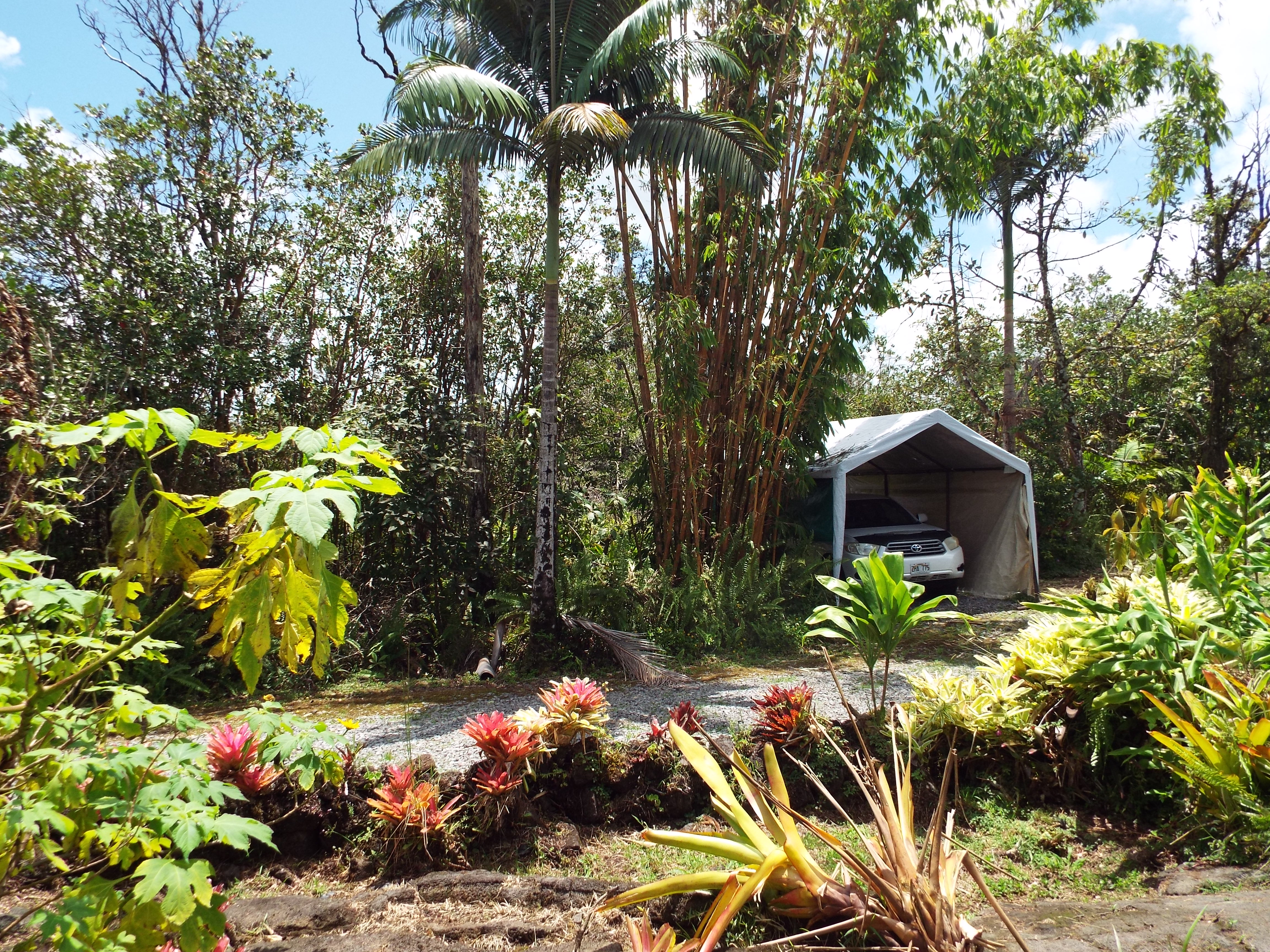 16-1242 Opeapea Road Mountain View, HI 96771 - Photo 5 of 28 Gallery Image 5