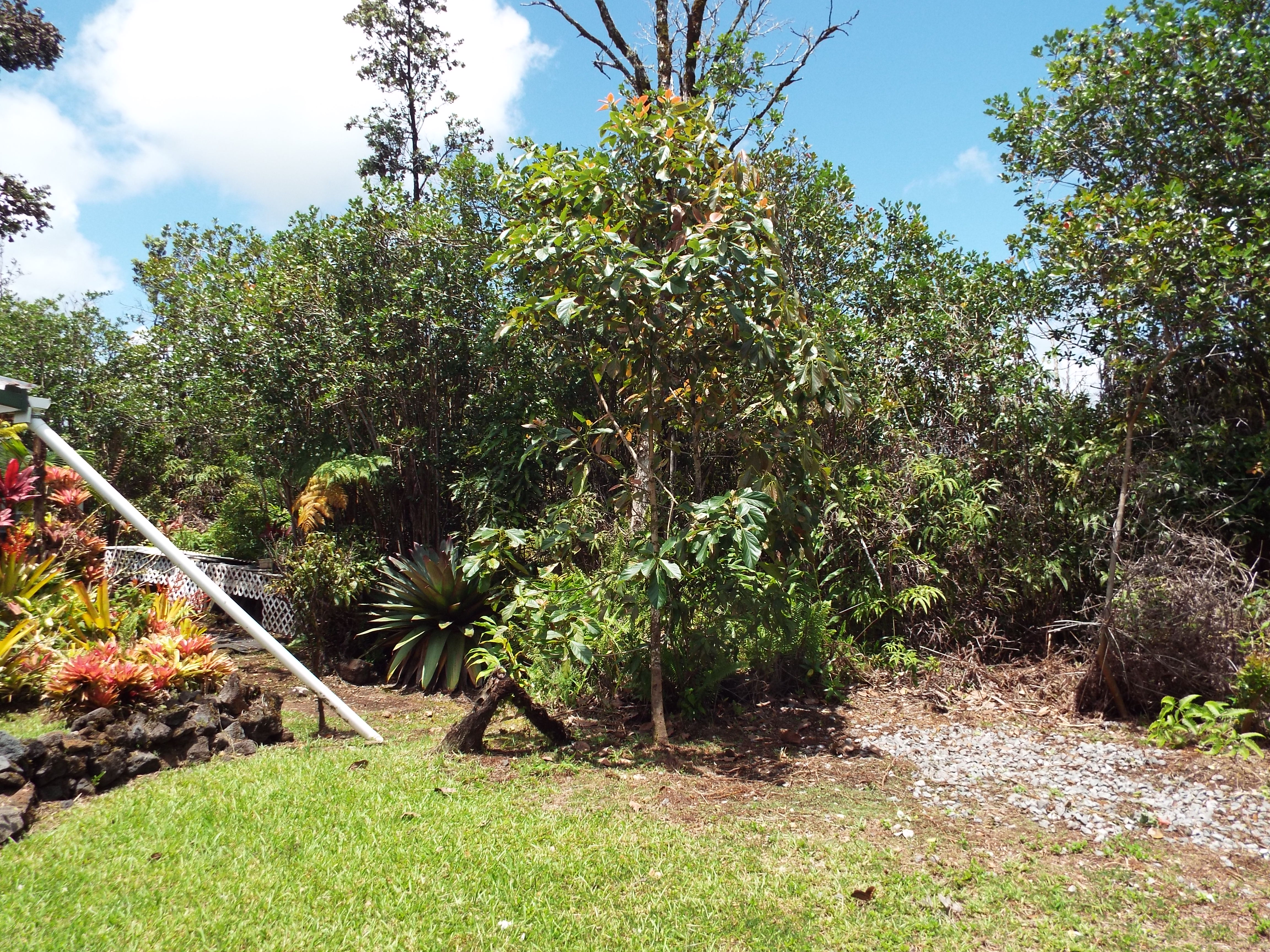 16-1242 Opeapea Road Mountain View, HI 96771 - Photo 8 of 28 Gallery Image 8