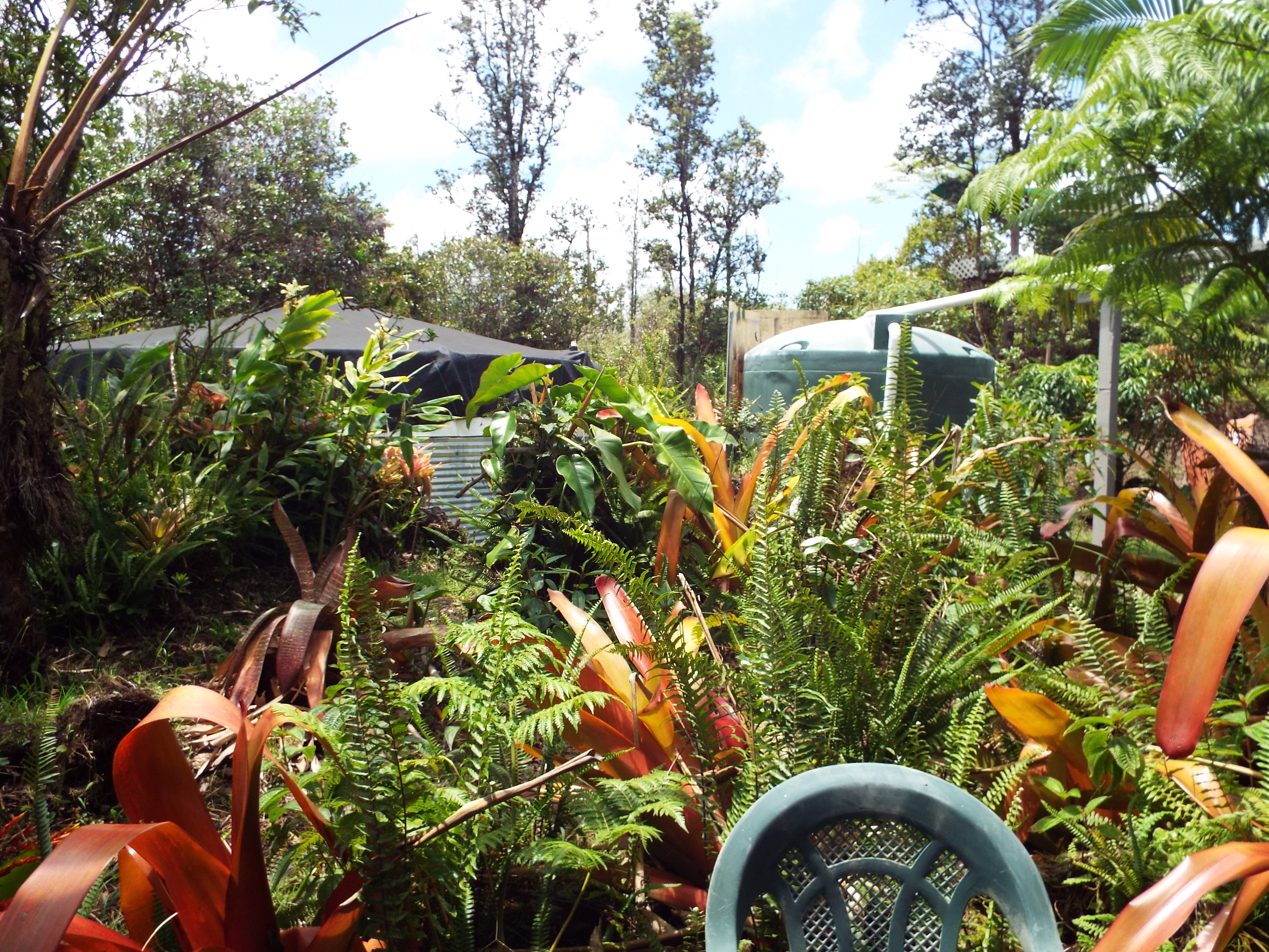 16-1242 Opeapea Road Mountain View, HI 96771 - Photo 10 of 28 Gallery Image 10