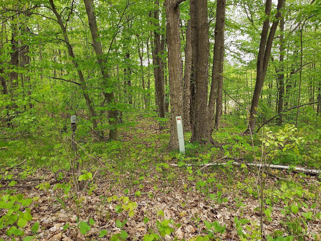 0 Buck Lane, Unit 66 Harrison, MI 48625 - Photo 4 of 4 Buck Lane 4