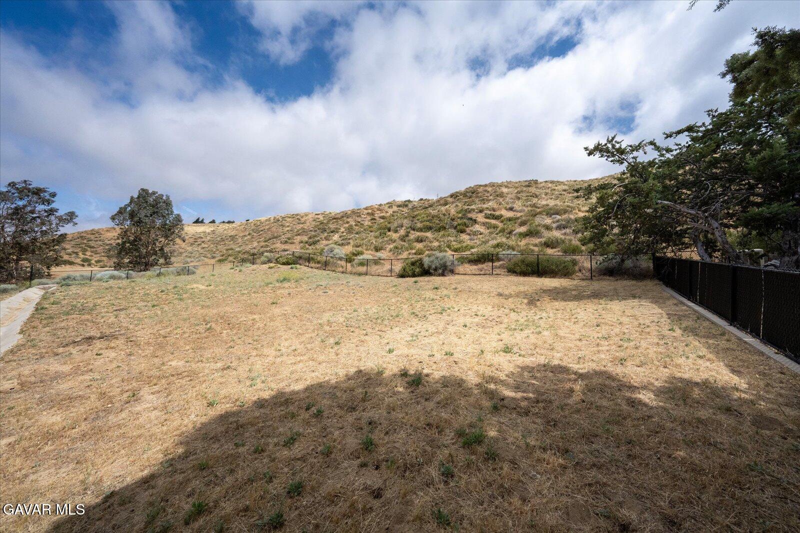 9115 Elizabeth Lake Road Leona Valley, CA 93551 - Photo 25 of 49 32-Back Yard