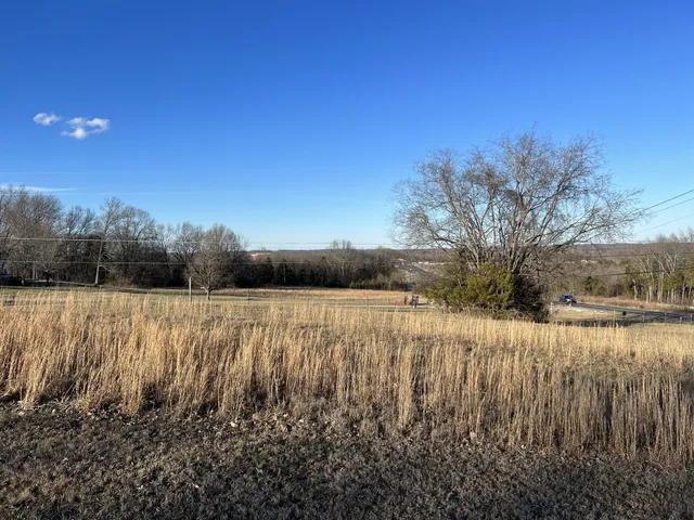 a view of a yard with wooden fence