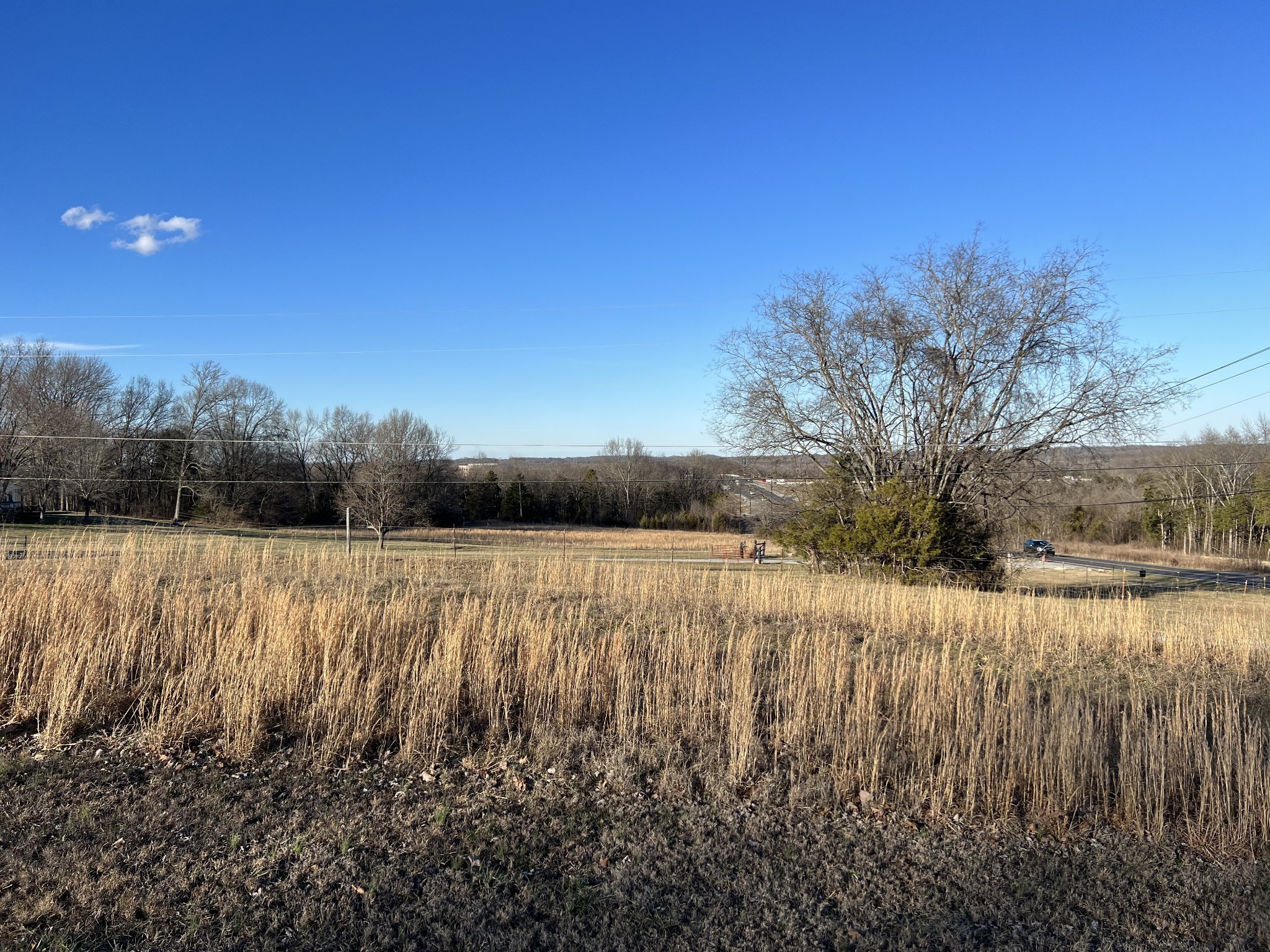 a view of a yard with wooden fence