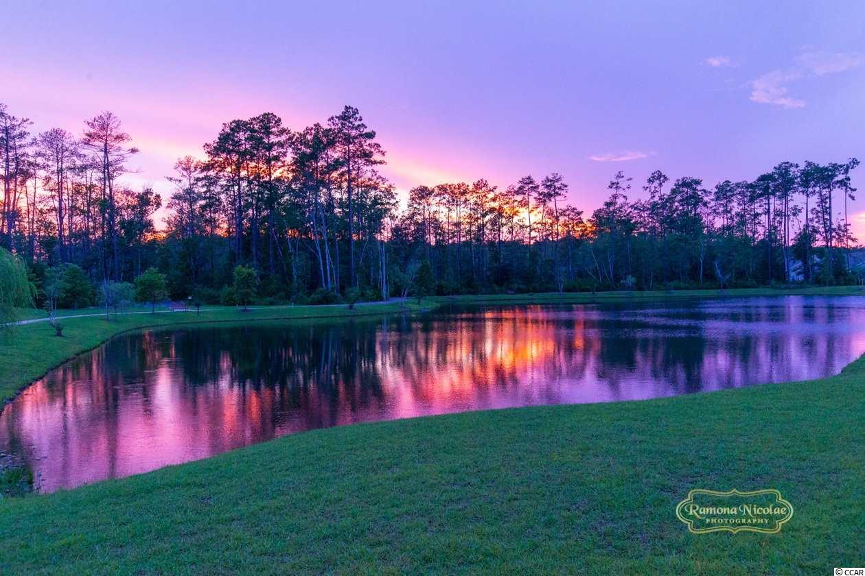 2042 Silver Spring Lane Myrtle Beach, SC 29577 - Photo 31 of 40 Gallery Image 31