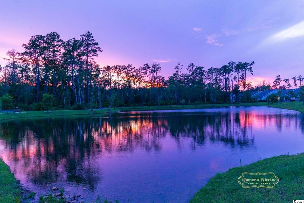 2042 Silver Spring Lane Myrtle Beach, SC 29577 - Photo 37 of 40 Gallery Image 37