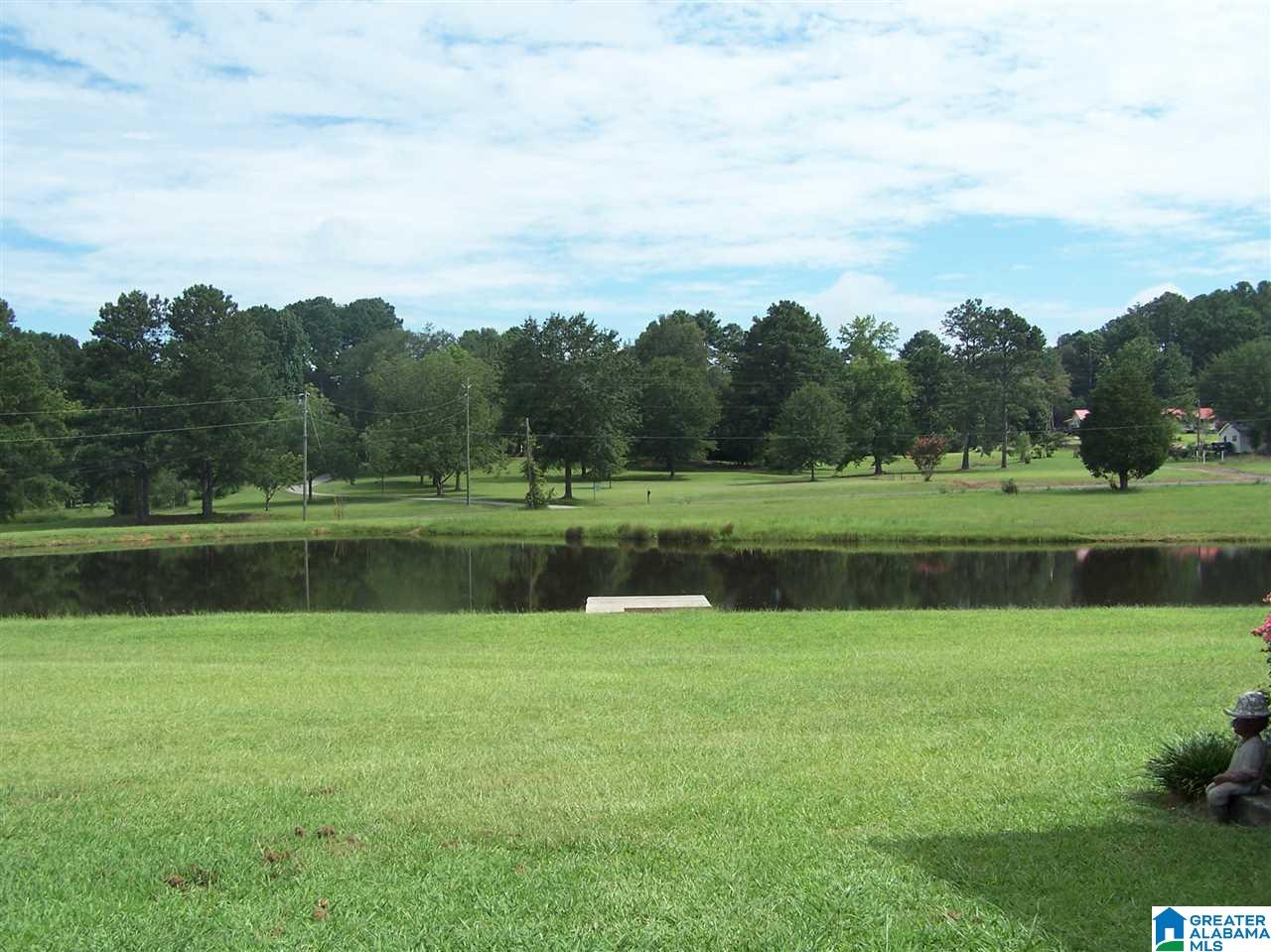 3840 County Road 13 Locust Fork, AL 35097 - Photo 7 of 13