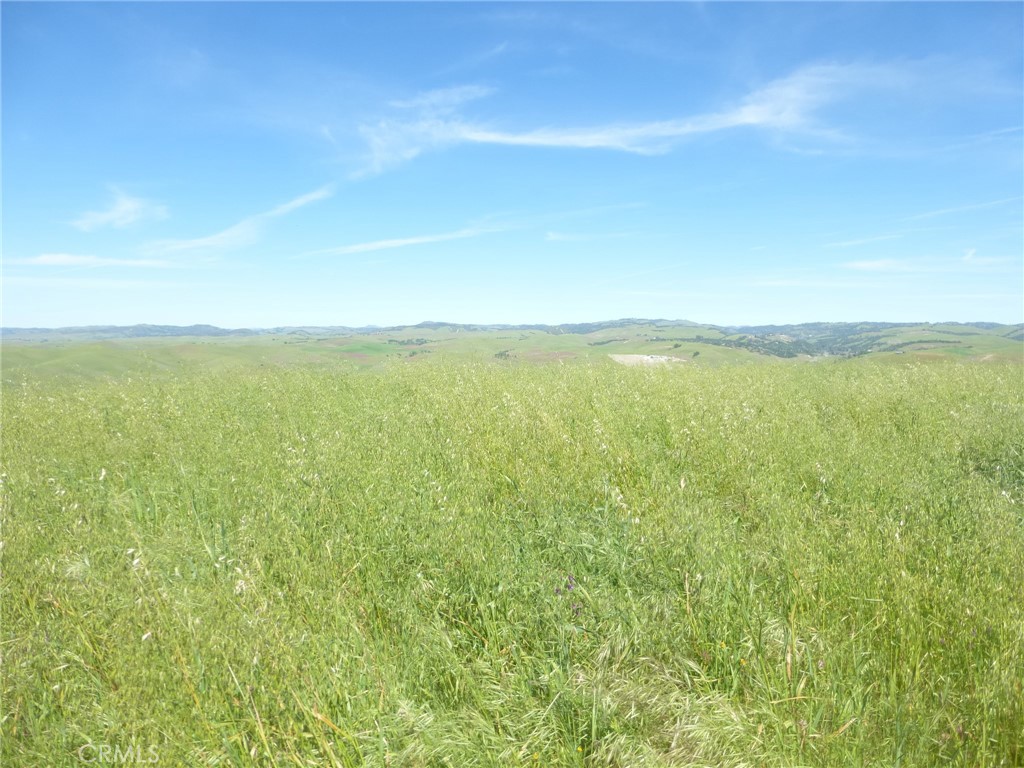 0 Douglas Road San Miguel, CA 93451 - Photo 16 of 44