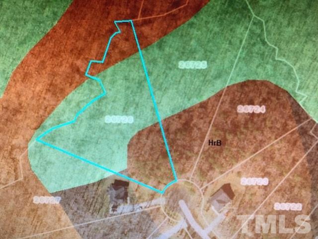 Lot 13 Weaver Ridge Road Rougemont, NC 27572 - Photo 3 of 4 a view of a backyard