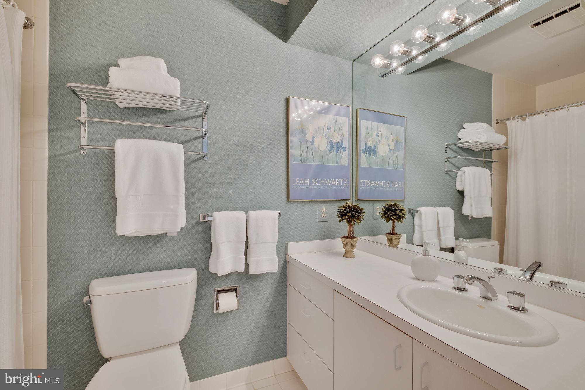 7017 Mountain Gate Drive Bethesda, MD 20817 - Photo 32 of 50 En-Suite Bathroom