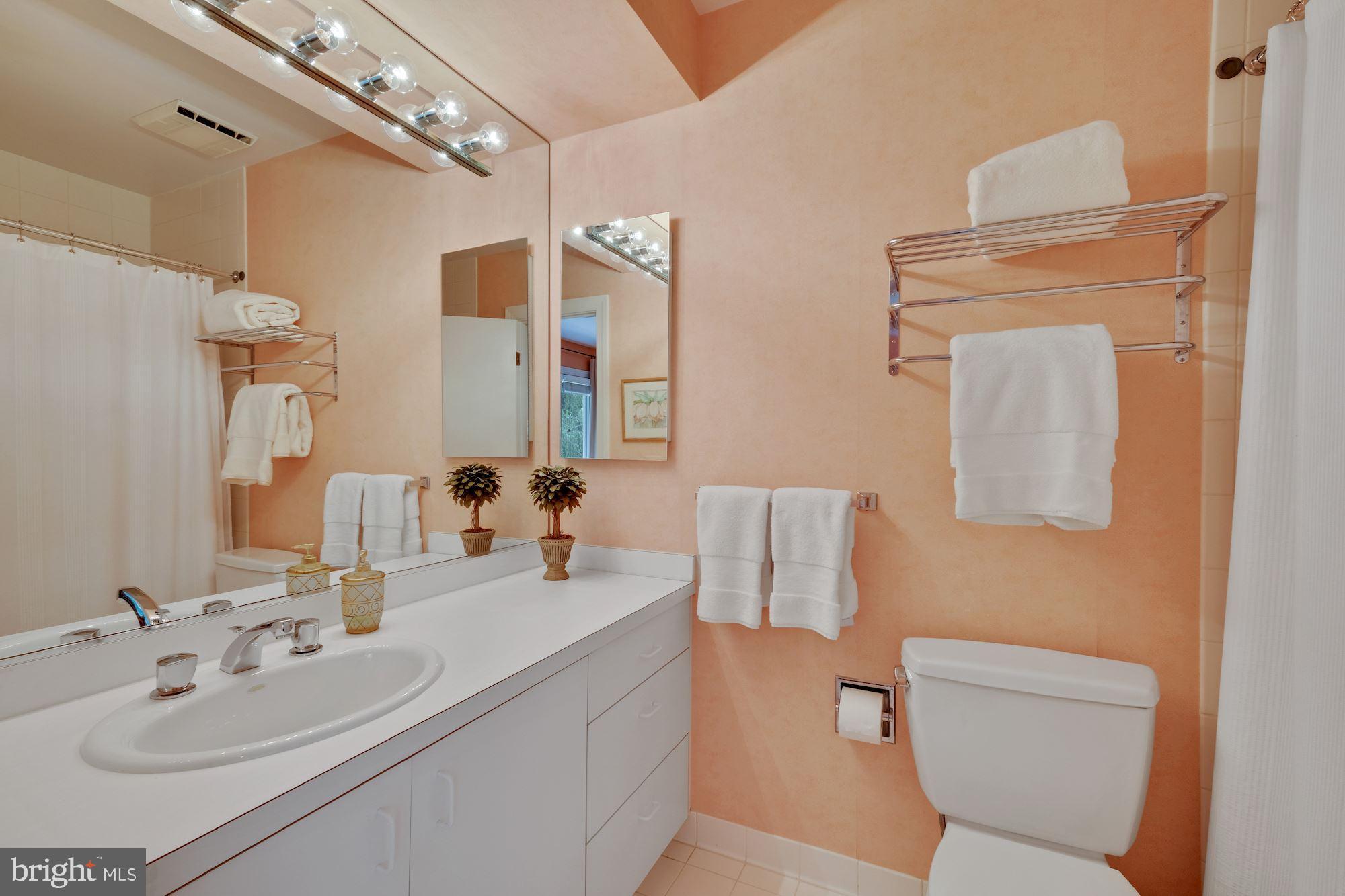 7017 Mountain Gate Drive Bethesda, MD 20817 - Photo 34 of 50 En-Suite Bathroom