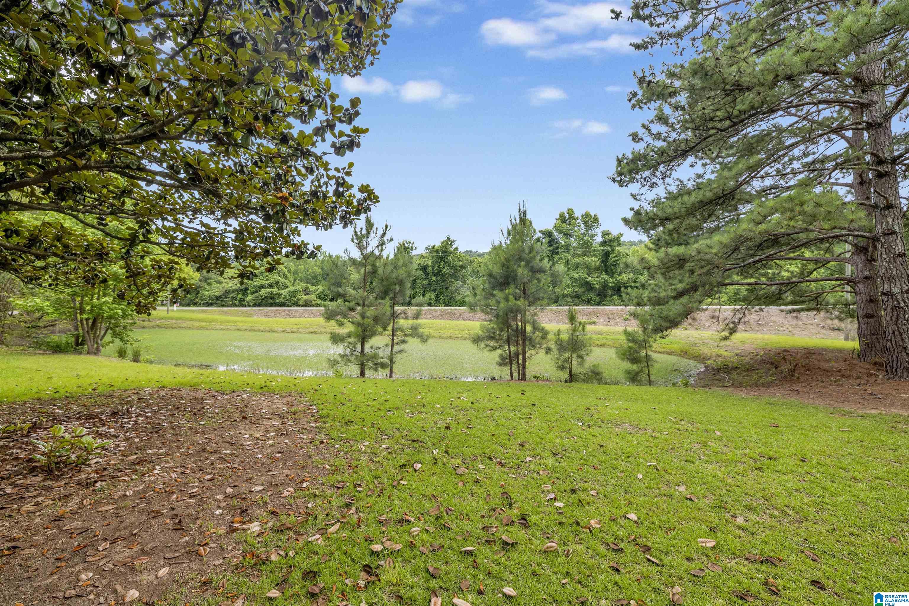 3155 Highway 174 Springville, AL 35146 - Photo 31 of 34