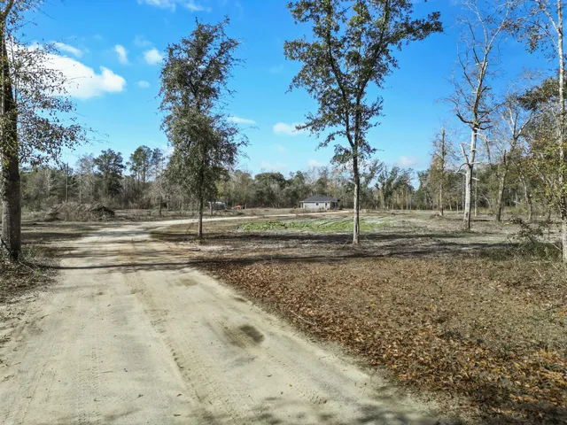 $399,000 | 16989 East G Buck Larkins Road, Bristol, FL 32321