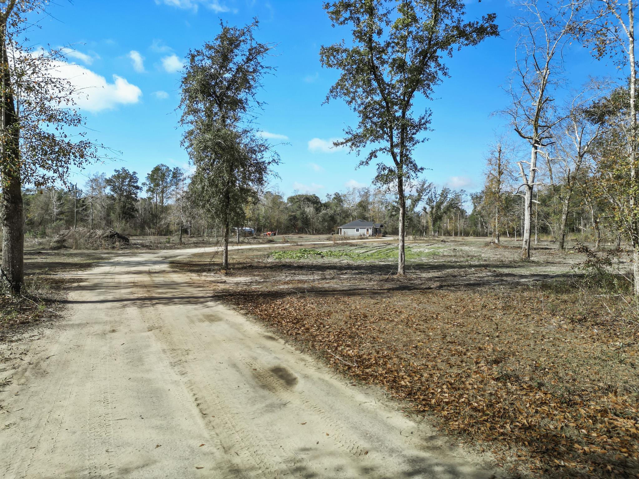 16989 East G Buck Larkins Road Bristol, FL 32321 - Photo 8 of 12