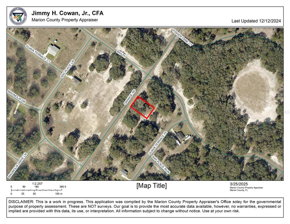 0 Orange Road Ocklawaha, FL 32179 - Photo 1 of 3