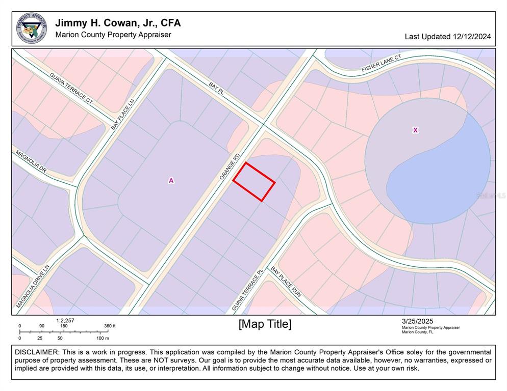0 Orange Road Ocklawaha, FL 32179 - Photo 3 of 3