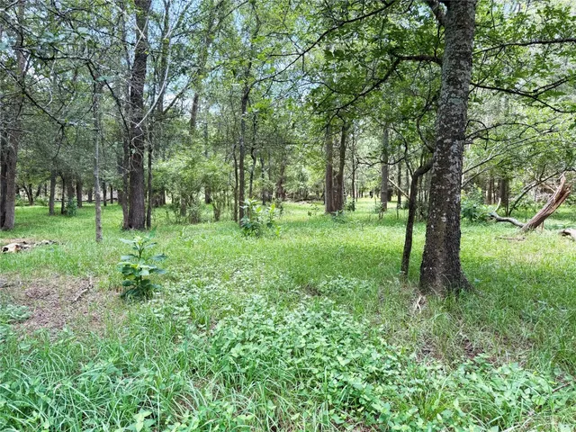 a view of a big yard with large trees