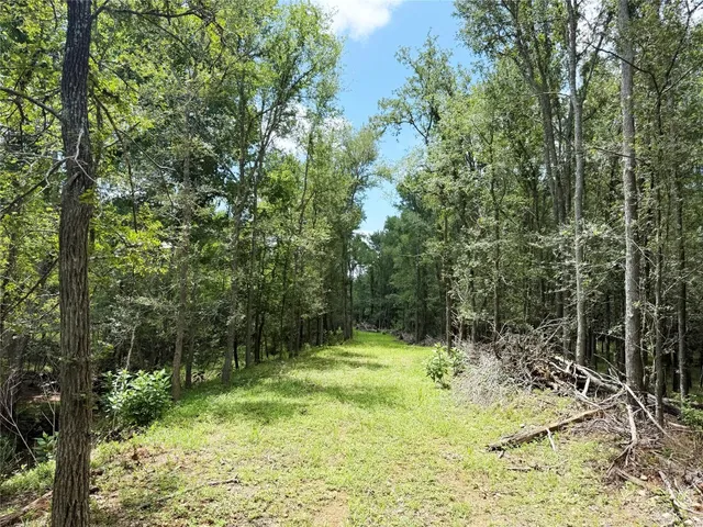 a view of outdoor space and yard