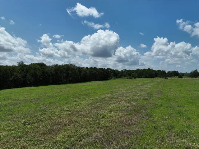a view of a big yard with potted plants and large tree