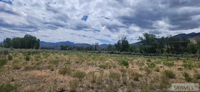 $101,000 | 4514 Cottonwood Grove Road, Mackay, ID 83251