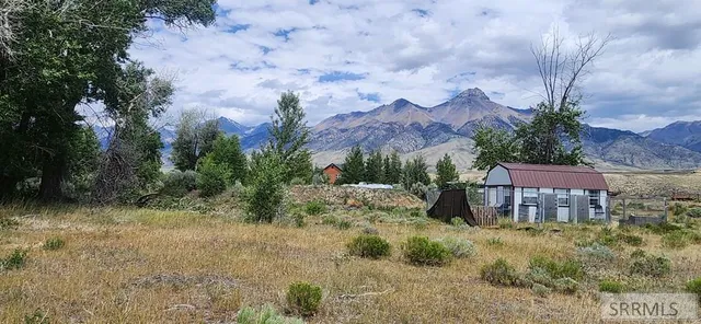 $101,000 | 4514 Cottonwood Grove Road, Mackay, ID 83251