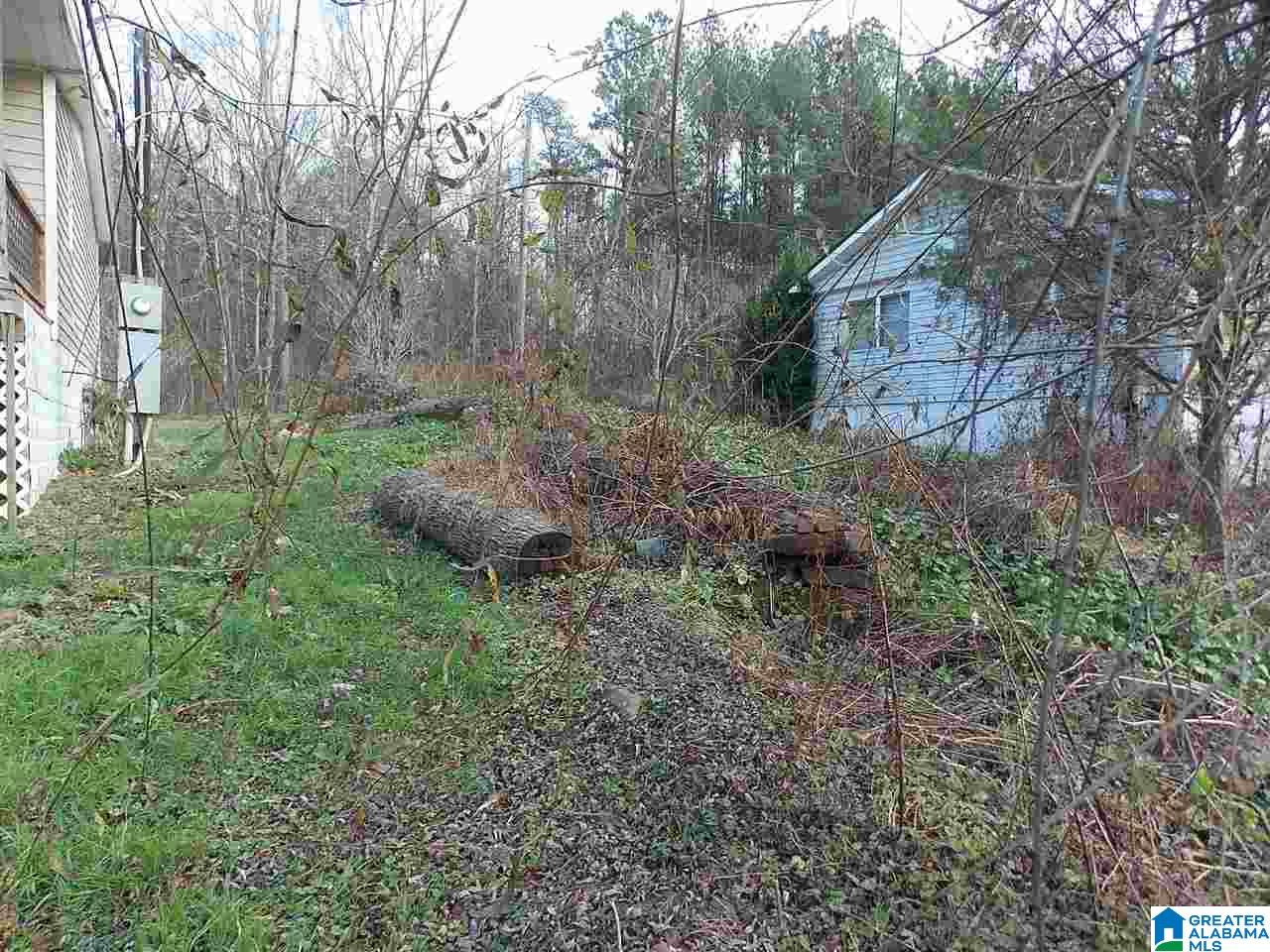 1466 Reid Road Oneonta, AL 35121 - Photo 8 of 10