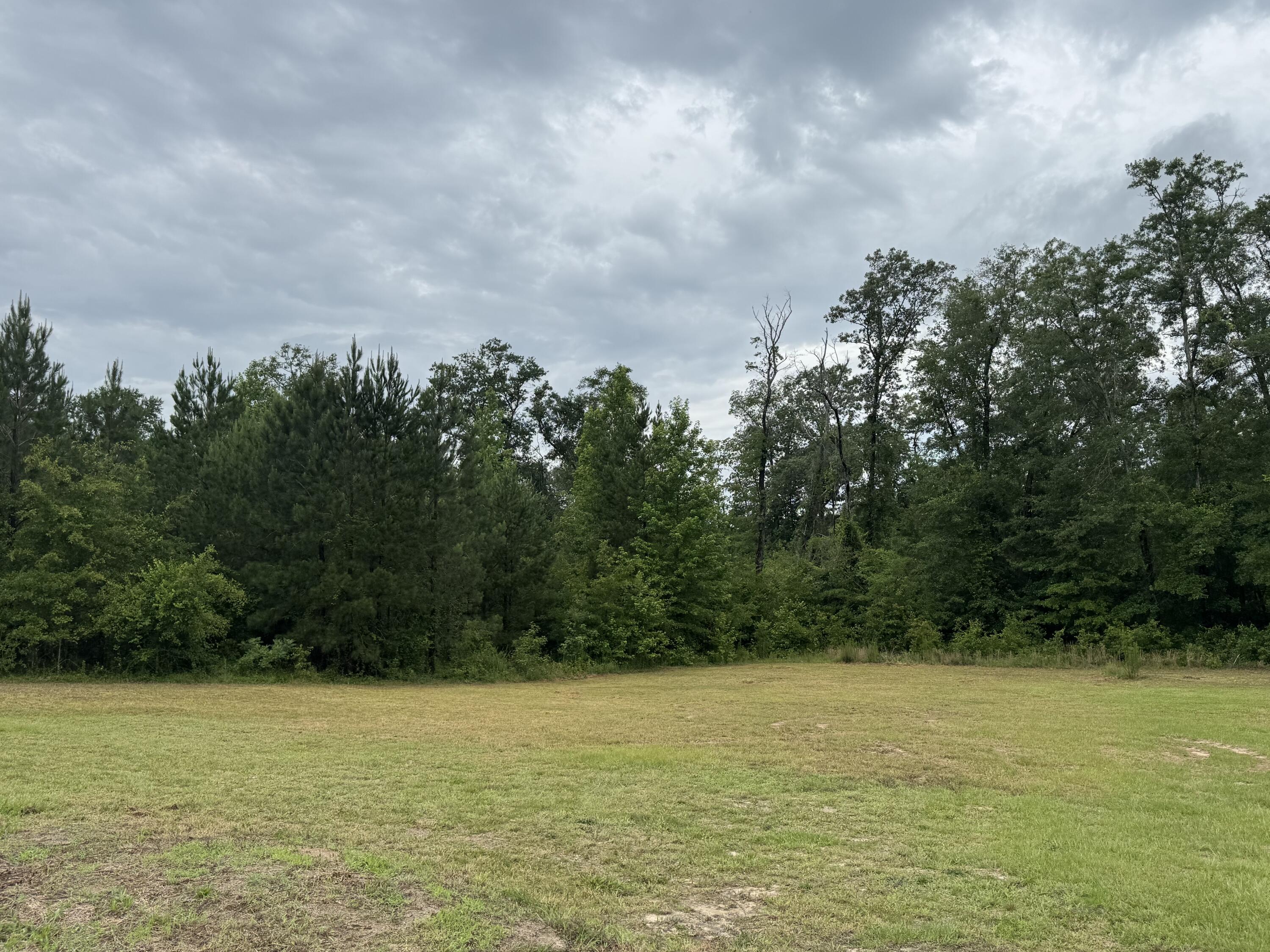 271 Lebanon Road Barnwell, SC 29812 - Photo 4 of 27