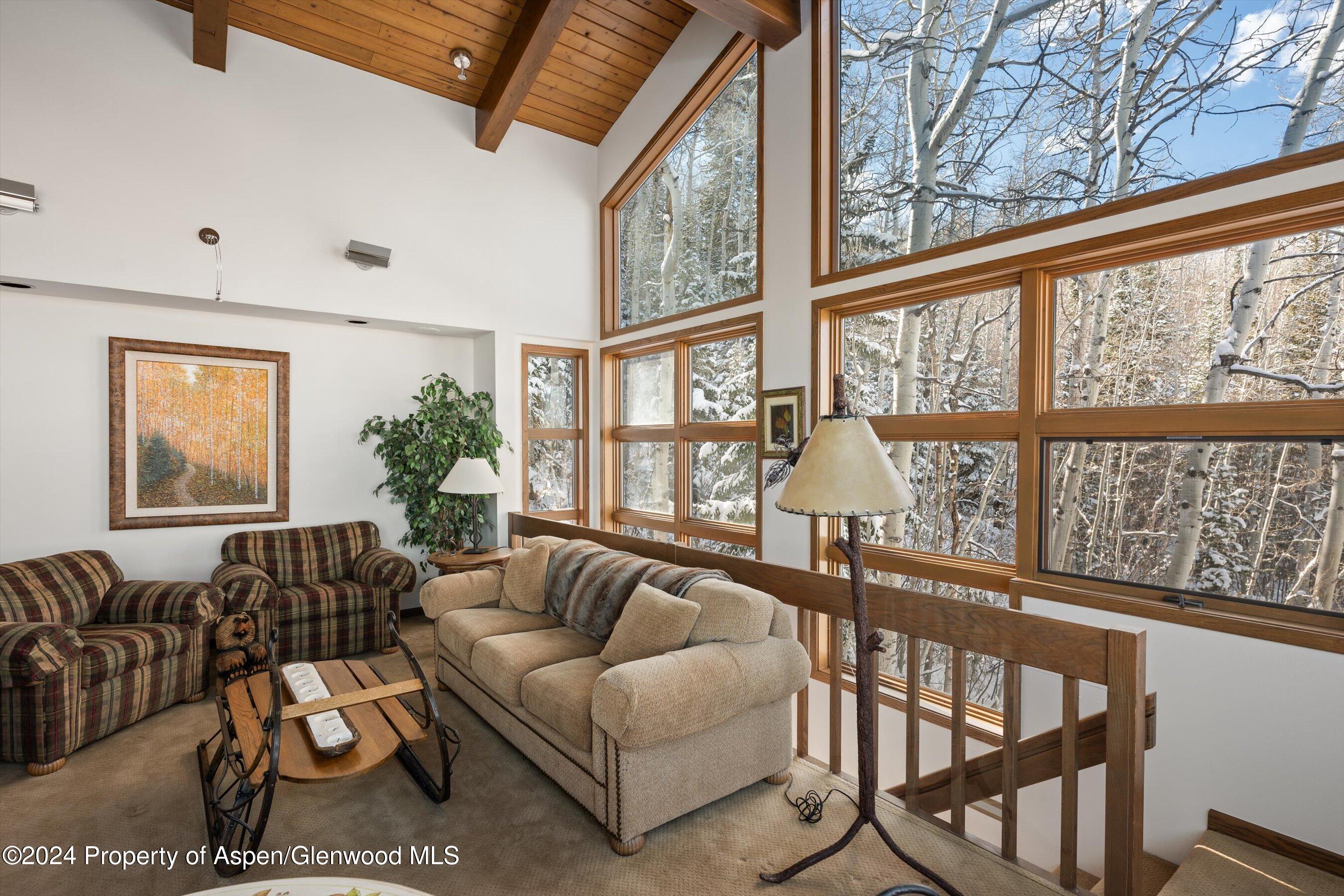 76 Ridge Road Snowmass Village, CO 81615 - Photo 19 of 42 Family Room